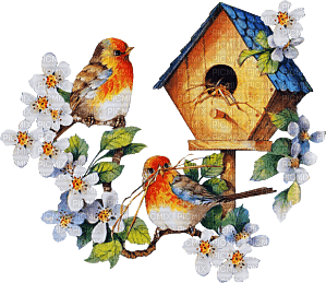 Kaz_Creations Bird Birds - 免费PNG