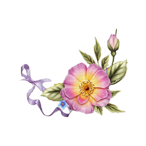 pink flowers - darmowe png