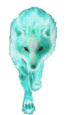 az loup wolf animaux animal - 無料png