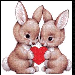 deux lapins coeur - Nemokamas animacinis gif