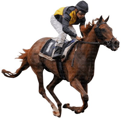 Horse Racing - безплатен png
