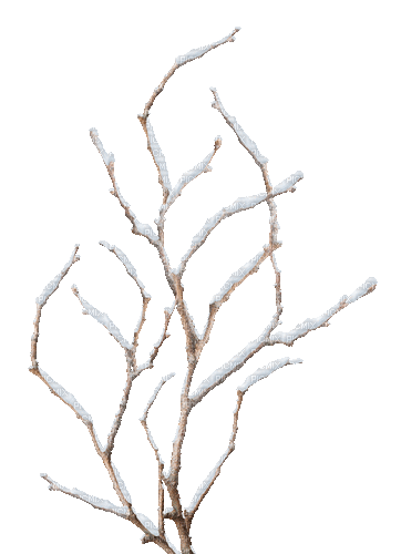 winter bush by nataliplus - GIF animé gratuit