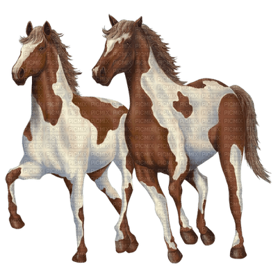 chevaux - kostenlos png