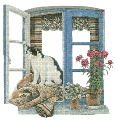 Kaz_Creations Animals Cats Cat Kitten Window - nemokama png