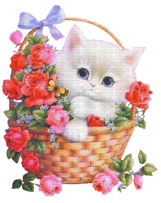 Chaton blanc dans un panier fleuri - Besplatni animirani GIF