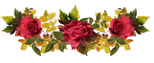 red roses border - png grátis