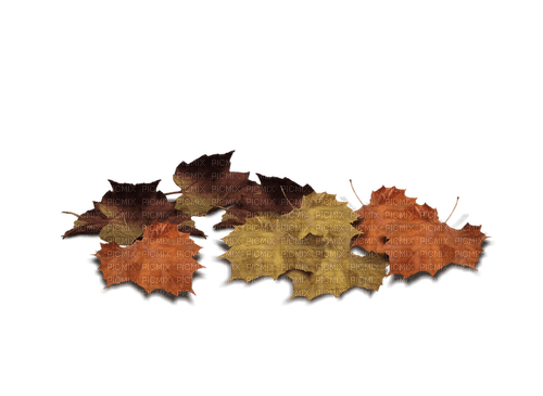 ✶ Leaves {by Merishy} ✶ - PNG gratuit