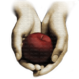 twilight apple hands - PNG gratuit