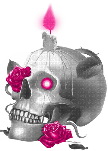 Skull.Candle.Roses.Black.White.Pink - Free PNG