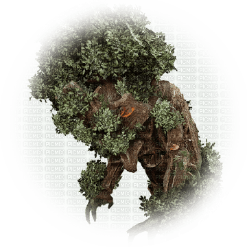 fantasy tree bp - PNG gratuit