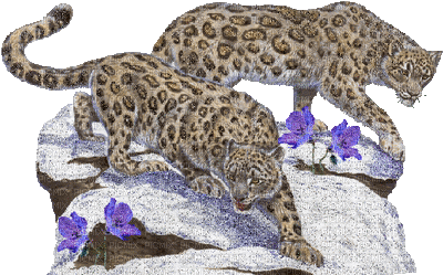 jaguar bp - Бесплатный анимированный гифка