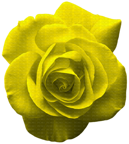 Rose.Yellow - gratis png