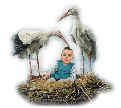 Kaz_Creations  Baby Enfant Child Girl Boy Birds - png gratis
