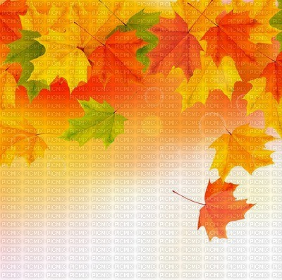 fondo otoño - бесплатно png
