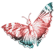 soave deco butterfly scrap pink teal - 無料png