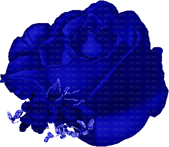 Rose bleut