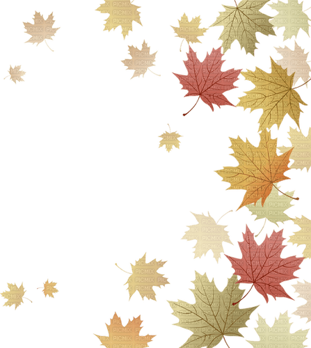 Leaves  Bb2 - png gratuito