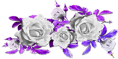 soave deco flowers spring branch rose - PNG gratuit