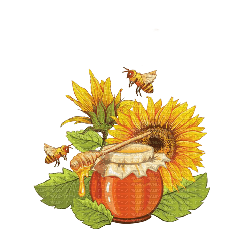 Honey Jar Bee Sunflower - Bogusia - besplatni png