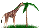 giraffe - Animovaný GIF zadarmo