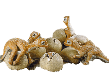 Dino Babies - Free PNG