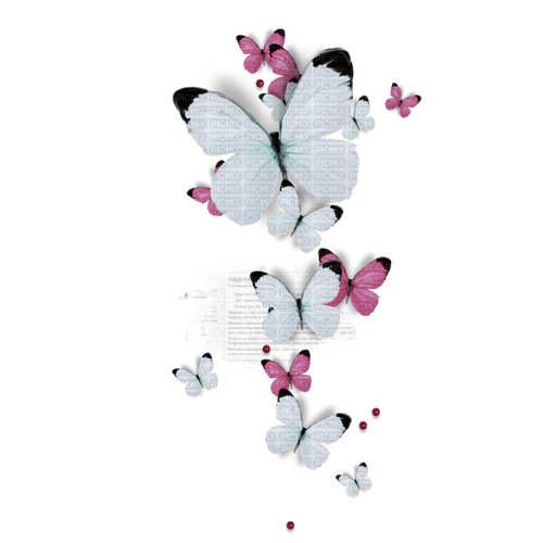 white butterflies Bb2 - Free PNG