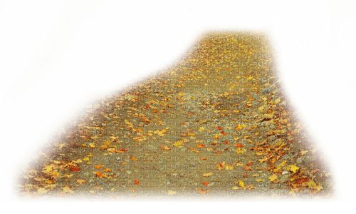 Camino de  otoño - png grátis