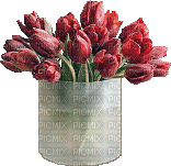 Fleur.Tulipes.Tulips.Pot.Vase.Flowers.Tulipanes.Bouquet.Easter.Deco.Victoriabea