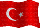 Türk Bayrağı - Gratis animeret GIF