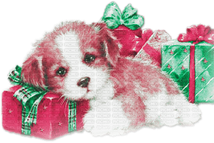 soave dog animals christmas winter  box gift - PNG gratuit