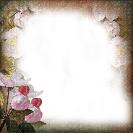 kikkapink spring frame flowers vintage - 無料png