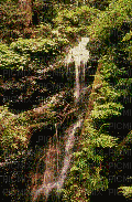 waterfall - Gratis animeret GIF