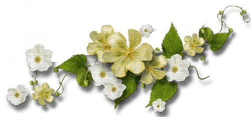 Green white flowers deco [Basilslament] - 免费PNG