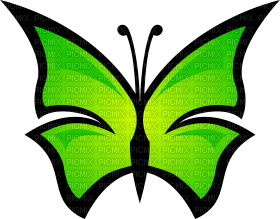Kaz_Creations Butterfly - zdarma png