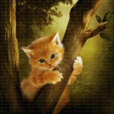 chat automne fond gif cat  autumn tree - GIF animé gratuit