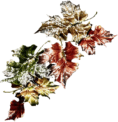 autumn automne herbst - Δωρεάν κινούμενο GIF