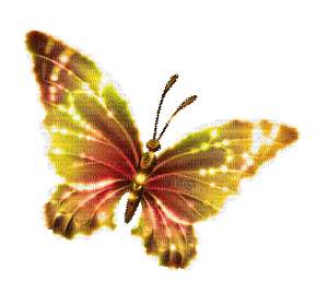 Y.A.M._Fantasy butterfly - Zdarma animovaný GIF