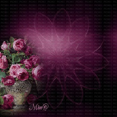 minou-bg-pink-flower - png ฟรี