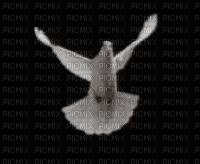 Flying Dove - GIF animé gratuit