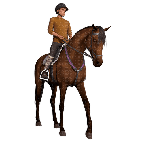 Game: Equestrian the game - 無料png