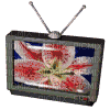 Animated oldweb webcore gif flower TV - Gratis geanimeerde GIF
