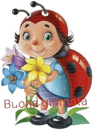 Ladybug - nemokama png