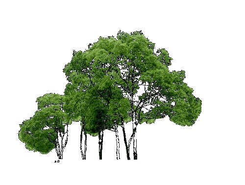 Деревья - Animovaný GIF zadarmo