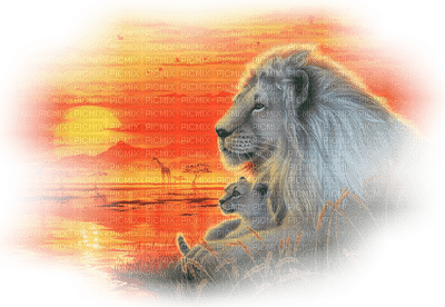 Lion ** - 免费PNG
