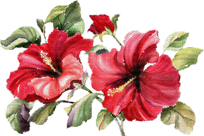 Blume - Darmowy animowany GIF