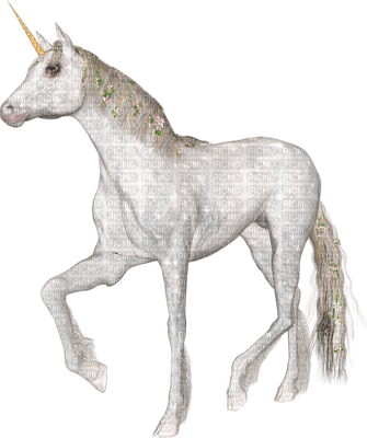 unicornio - kostenlos png