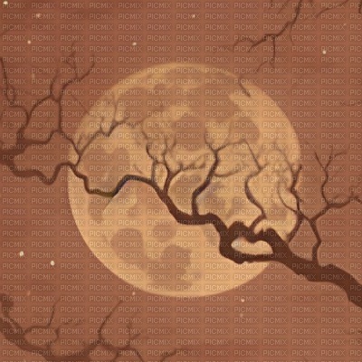 Brown Moon & Branches - PNG gratuit
