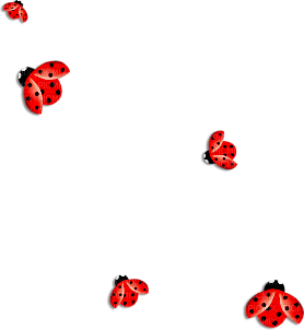 soave  ladybug deco red - png grátis