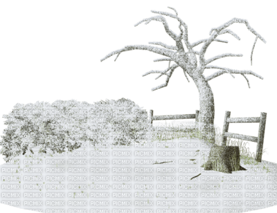 cecily-arbre mort hiver - фрее пнг