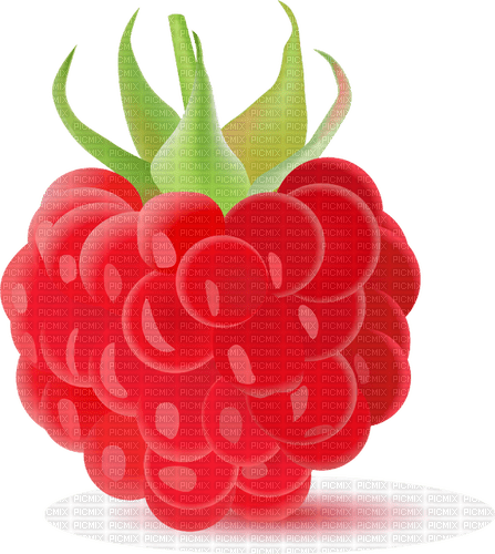 raspberry Bb2 - бесплатно png